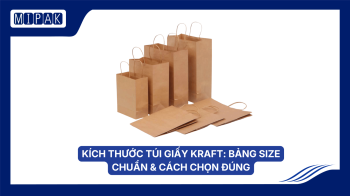 Kích Thước Túi Giấy Kraft: Bảng Size Chuẩn & Cách Chọn Đúng